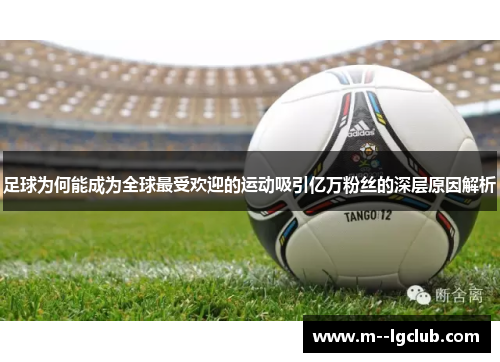 足球为何能成为全球最受欢迎的运动吸引亿万粉丝的深层原因解析