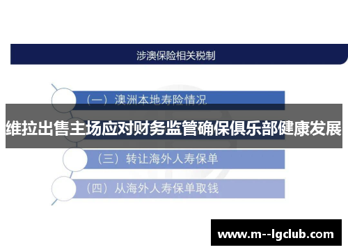 维拉出售主场应对财务监管确保俱乐部健康发展 维拉出售主场应对财务监管确保俱乐部健康发展