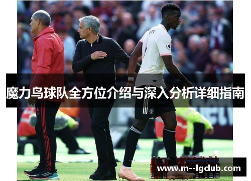 魔力鸟球队全方位介绍与深入分析详细指南